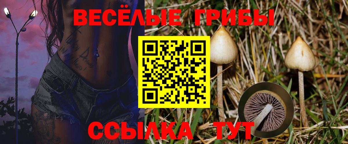 Галлюциногенные грибы ЛСД Железноводск