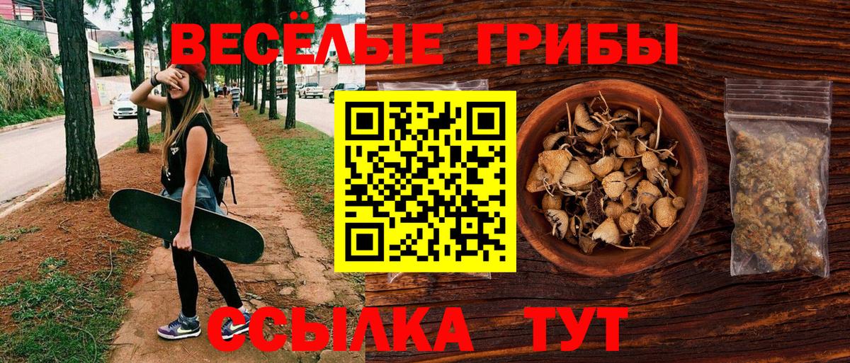 Галлюциногенные грибы Cubensis  Вход с VPN  Железноводск 